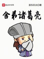 舍弟诸葛亮下载