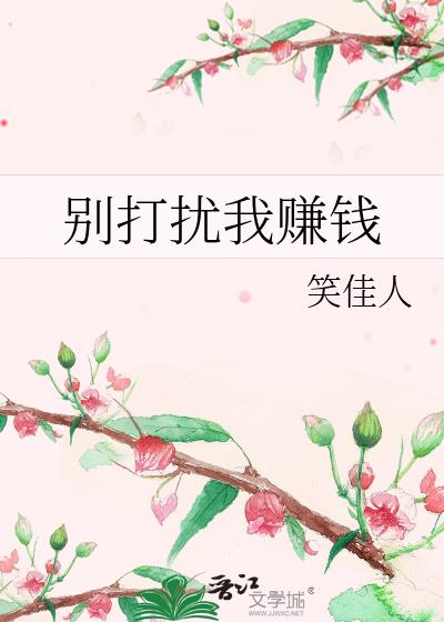 别打扰我赚钱讲的什么