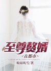 至尊赘婿在都市 雾雨风雪