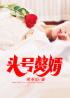 头号赘婿 小说