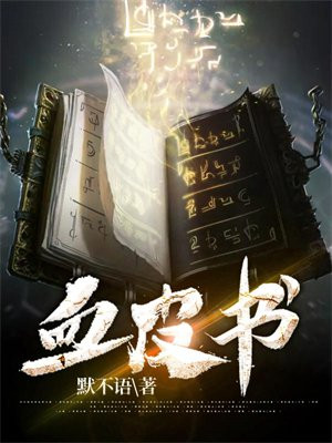 血皮书评价