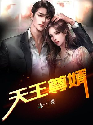 小说天王帝婿