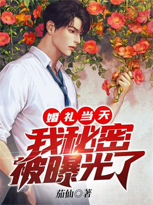 婚礼当天我秘密被曝光了小说