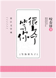 我等你很久了原名