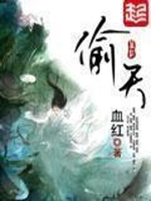 偷天大盗