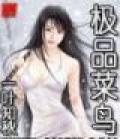 极品菜鸟好看吗