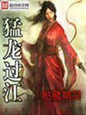 猛龙过江破解版