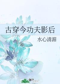 古穿今功夫影后 水心清湄类似小说