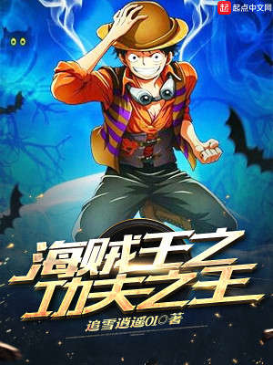 海贼王之功夫之王小说下载