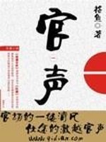 官声小说下载