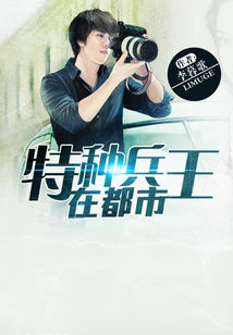 小说特种兵王在都市