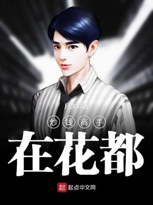 炒钱高手在花都 小说