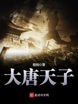 大唐天子小说李侑秦无霜免费阅读