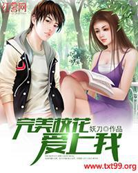 傲娇校花爱上我小说作者是谁