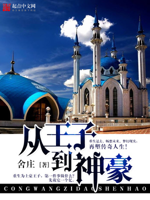 从王子到神豪TXT下载