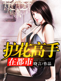 护花高手在都市女主角有几个