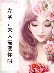 《左夫人,你的马甲掉了!》