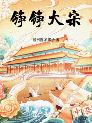 铮铮大宋无防盗