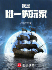 我是唯一的玩家起点小说