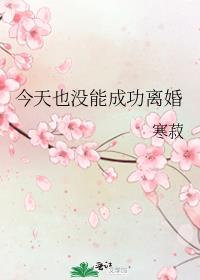 今天也没能成功离婚by寒菽
