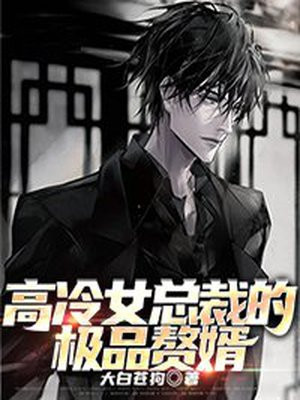 高冷美女总裁的超级高手