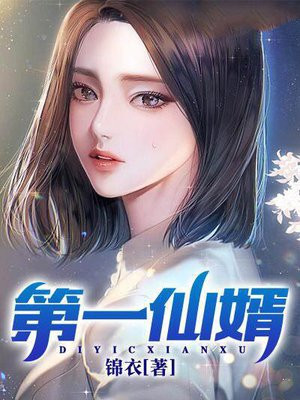 第一仙婿叶凡