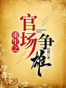重生官场争雄小说