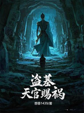 盗墓天官的小说