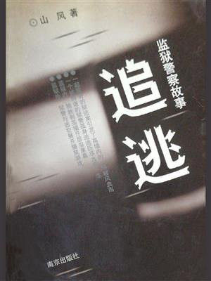 追逃30集电视剧全集