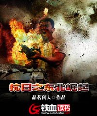 抗日之东北崛起张天宇