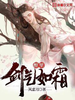 醉里,剑气如霜 小说