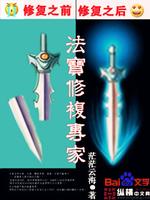 小说法宝修复专家