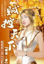 贼行天下 百科
