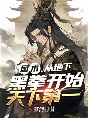 国术:从地下拳手到世界拳王爱看书吧