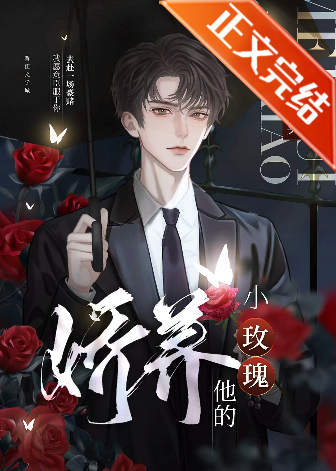 娇养他的小玫瑰小说全文免费阅读无重复