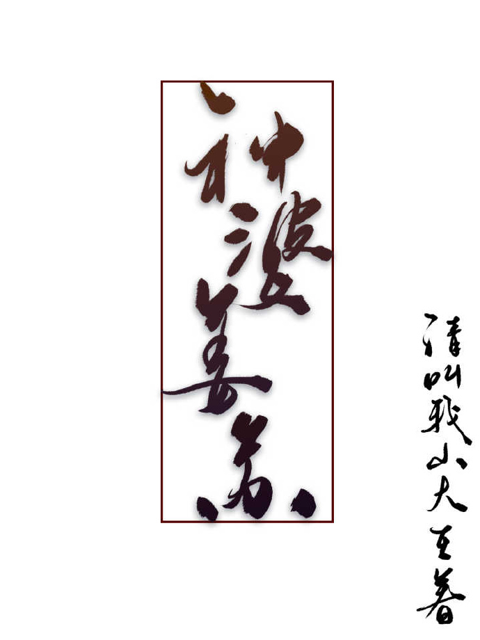神婆姜苏 小说txt
