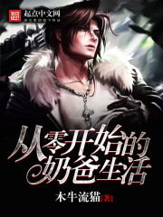 从零开始的奶爸生活 小说