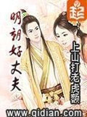 明朝好丈夫柳乘风