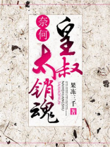 奈何皇叔是妻控