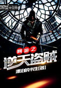 网游之逆天盗贼免费阅读