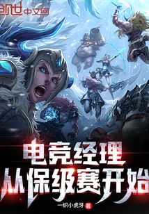 电竞经理 小说