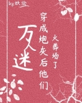 万人迷穿成炮灰后他们火葬场了(快穿)
