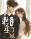 领证后，陆先生每天都想官宣
