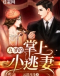 九爷的掌上小逃妻