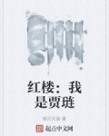 红楼：我是贾琏