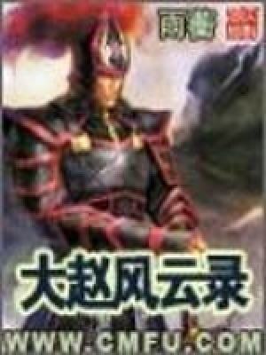 大赵风云录