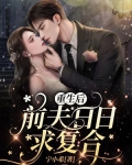 重生后，前夫日日求复合