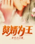 赘婿为王