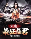 大唐至尊龙帝