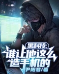 黑科技:谁让他这么造手机的小说